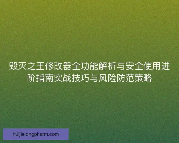 毁灭之王修改器全功能解析与安全使用进阶指南实战技巧与风险防范策略