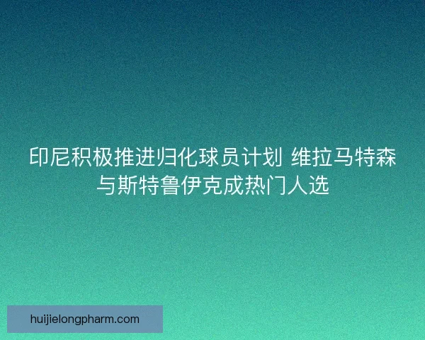 印尼积极推进归化球员计划 维拉马特森与斯特鲁伊克成热门人选