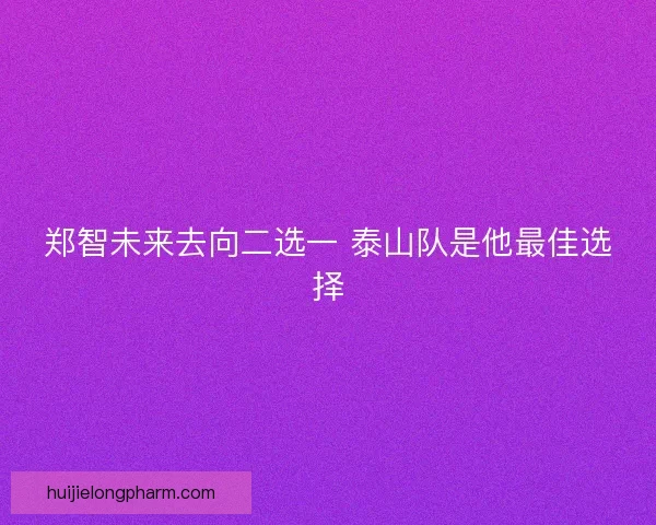 郑智未来去向二选一 泰山队是他最佳选择