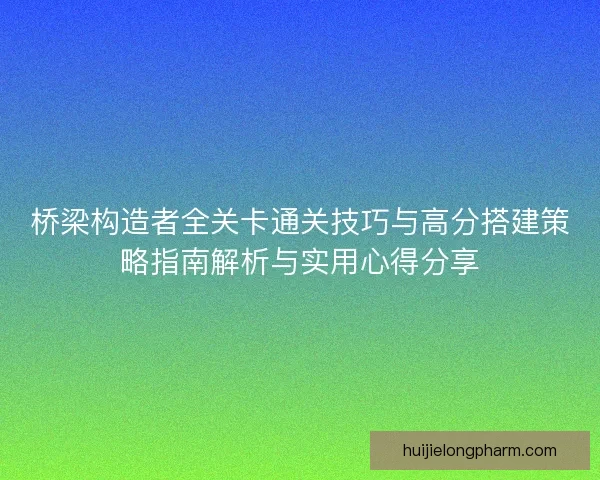 桥梁构造者全关卡通关技巧与高分搭建策略指南解析与实用心得分享